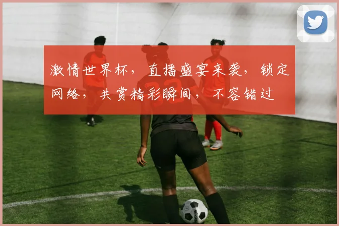 激情世界杯，直播盛宴来袭，锁定网络，共赏精彩瞬间，不容错过