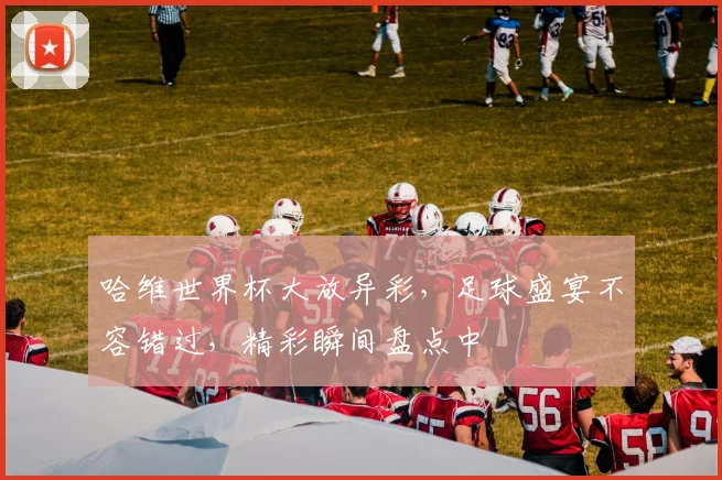 哈维世界杯大放异彩，足球盛宴不容错过，精彩瞬间盘点中
