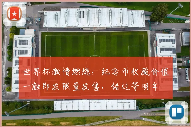世界杯激情燃烧，纪念币收藏价值一触即发限量发售，错过等明年
