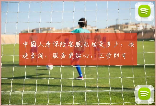 中国人寿保险客服电话是多少，快速查询，服务更贴心，三步即可