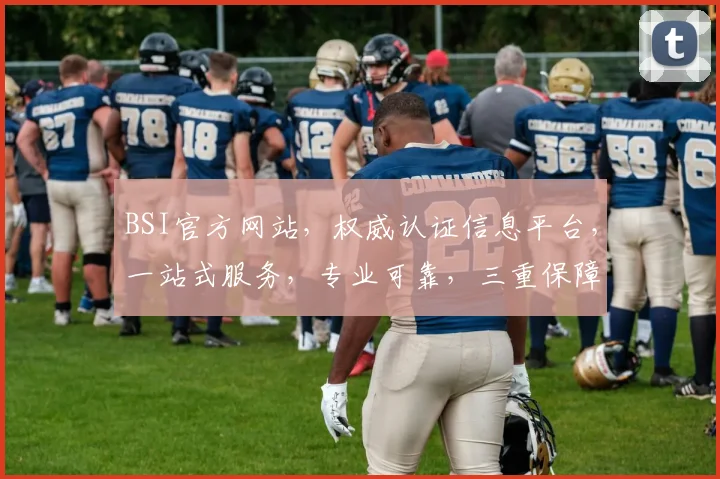 BSI官方网站，权威认证信息平台，一站式服务，专业可靠，三重保障，值得信赖，一站式解决方案。
